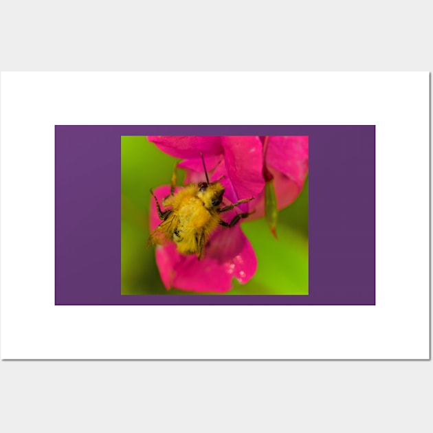 BEE PASSION Wall Art by dumbodancer